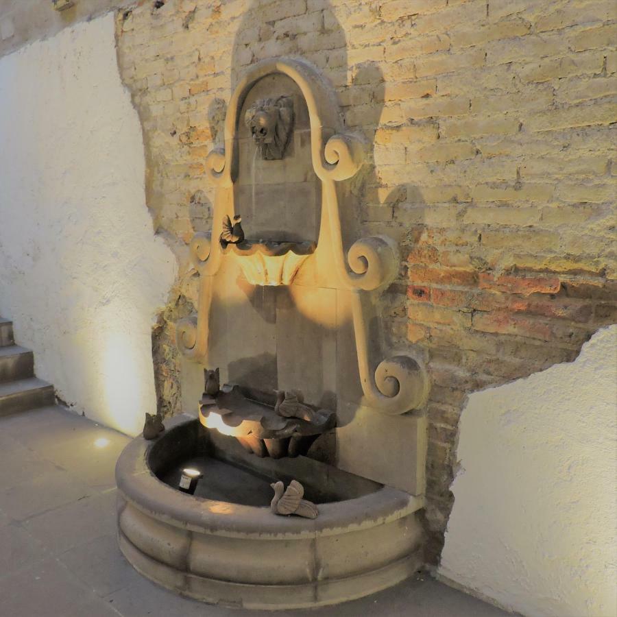 Hotel Casa Colibri San Miguel de Allende Zewnętrze zdjęcie